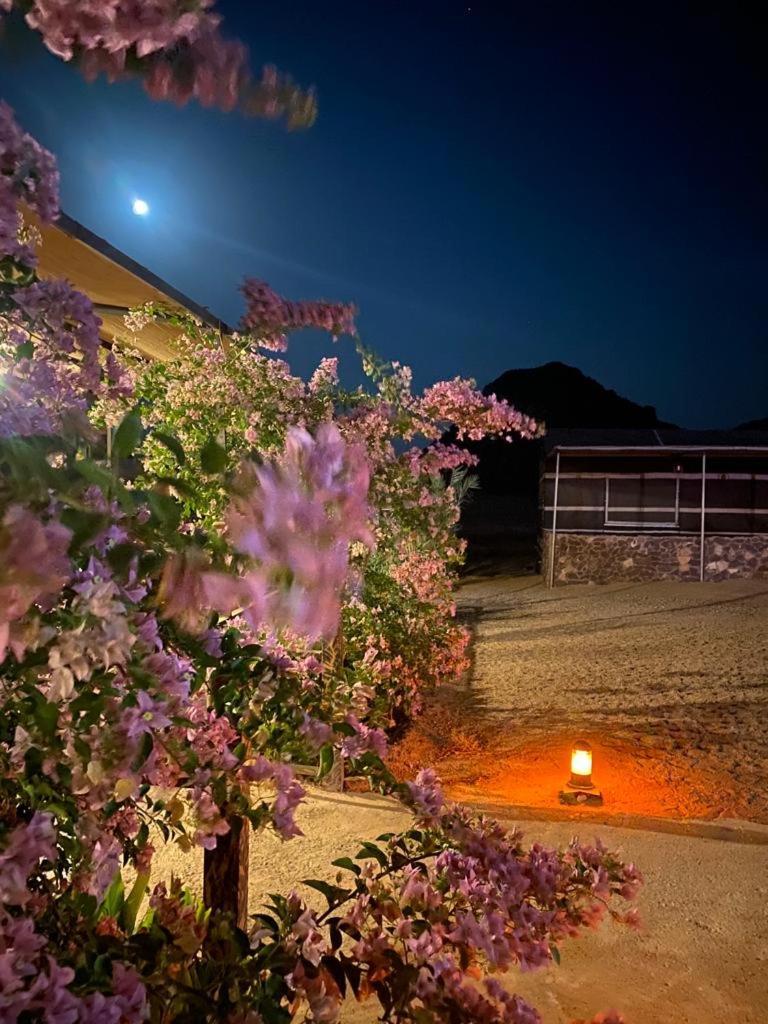 Moon Night Camp Hotel Wadi Rum Buitenkant foto